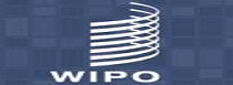 世界知識產權組織 WIPO